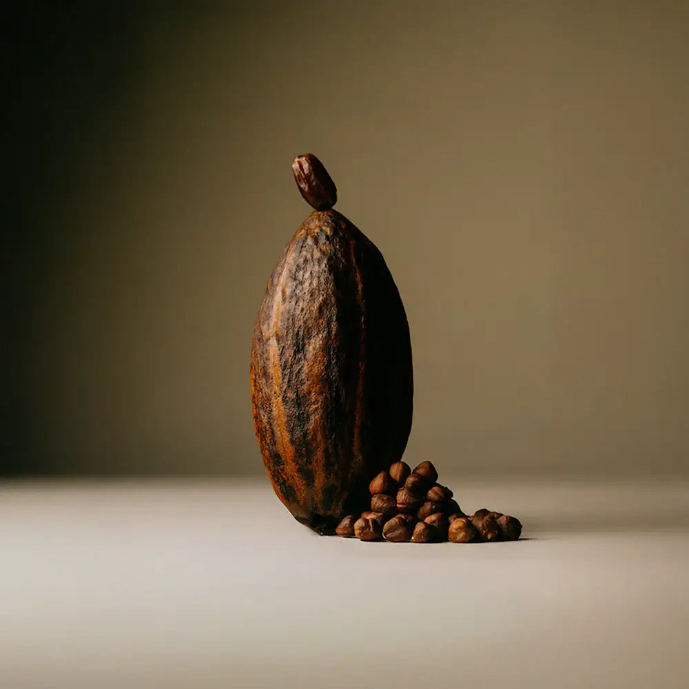Date-Sweetened Chocolate, Hazelnut