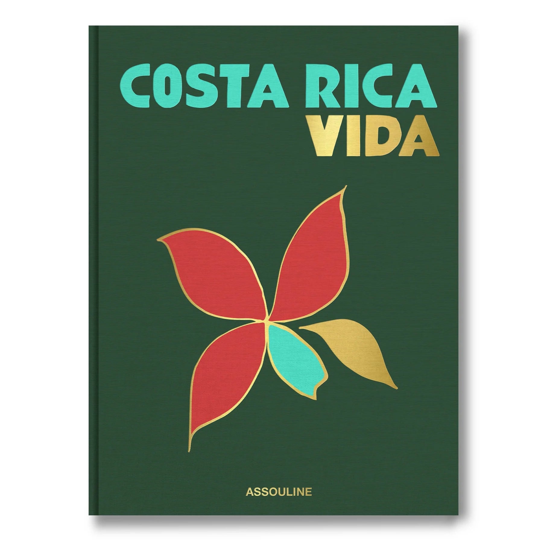 Costa Rica Vida
