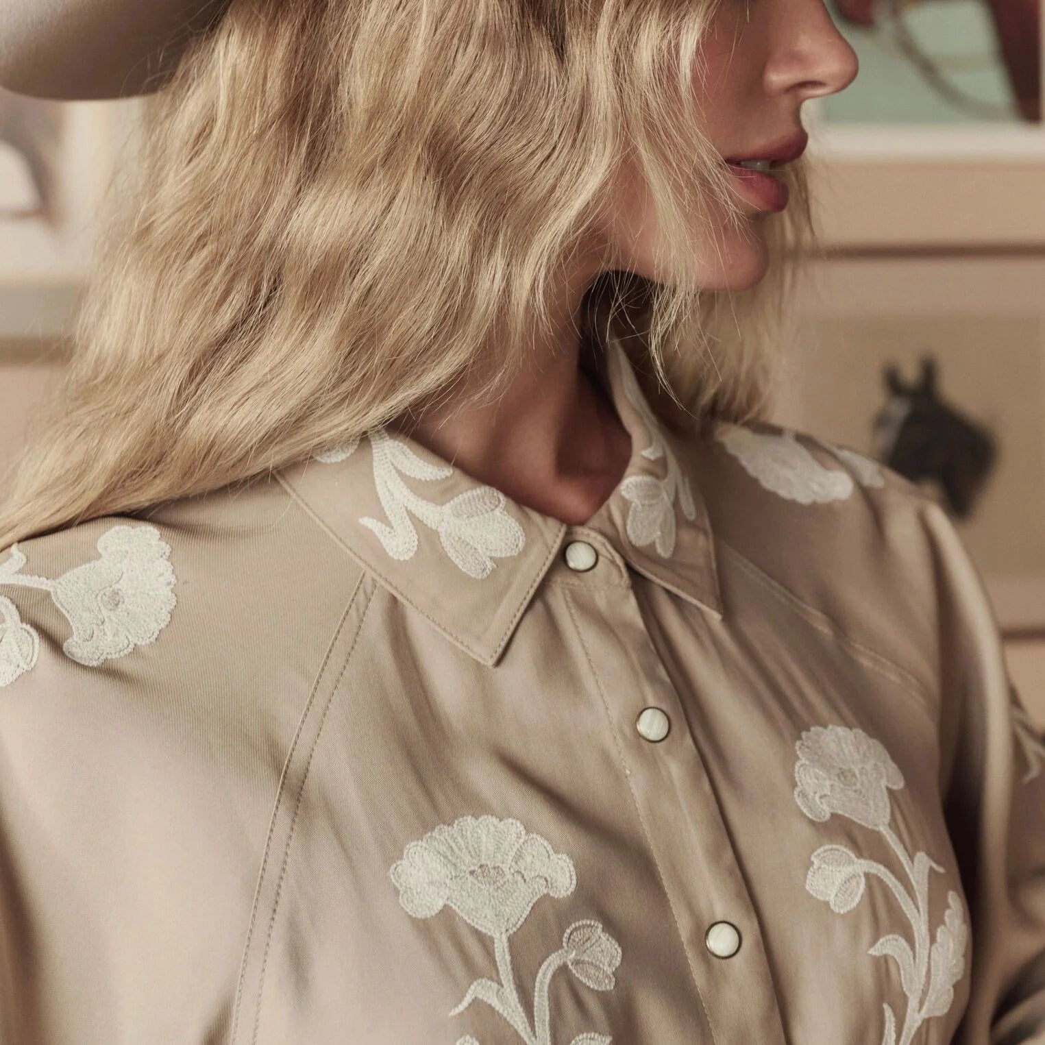 Western Embroidered Herd Dress