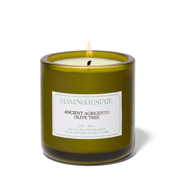 Ancient Agrigento Olive Tree Candle