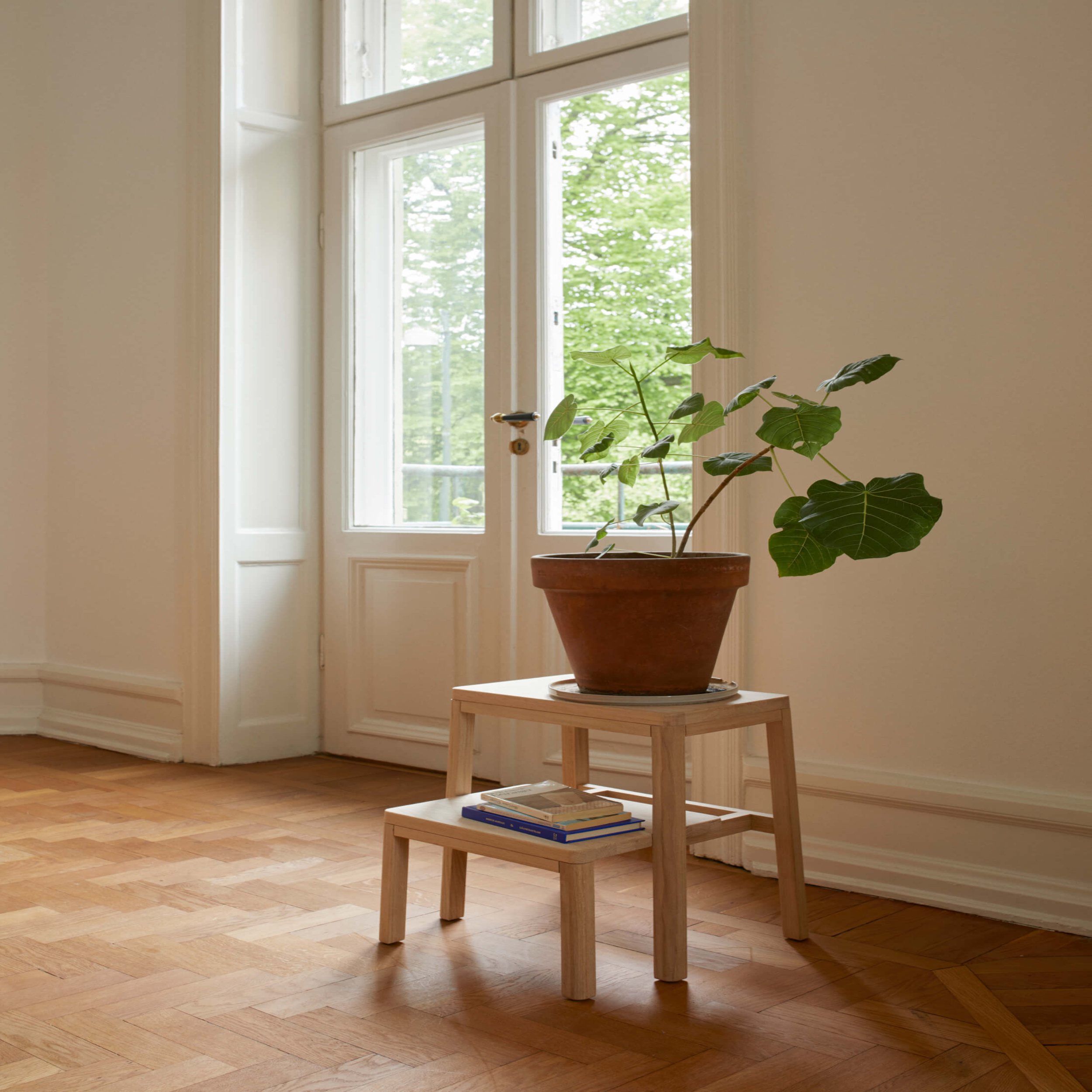 Noboru Step Ladder, Oak