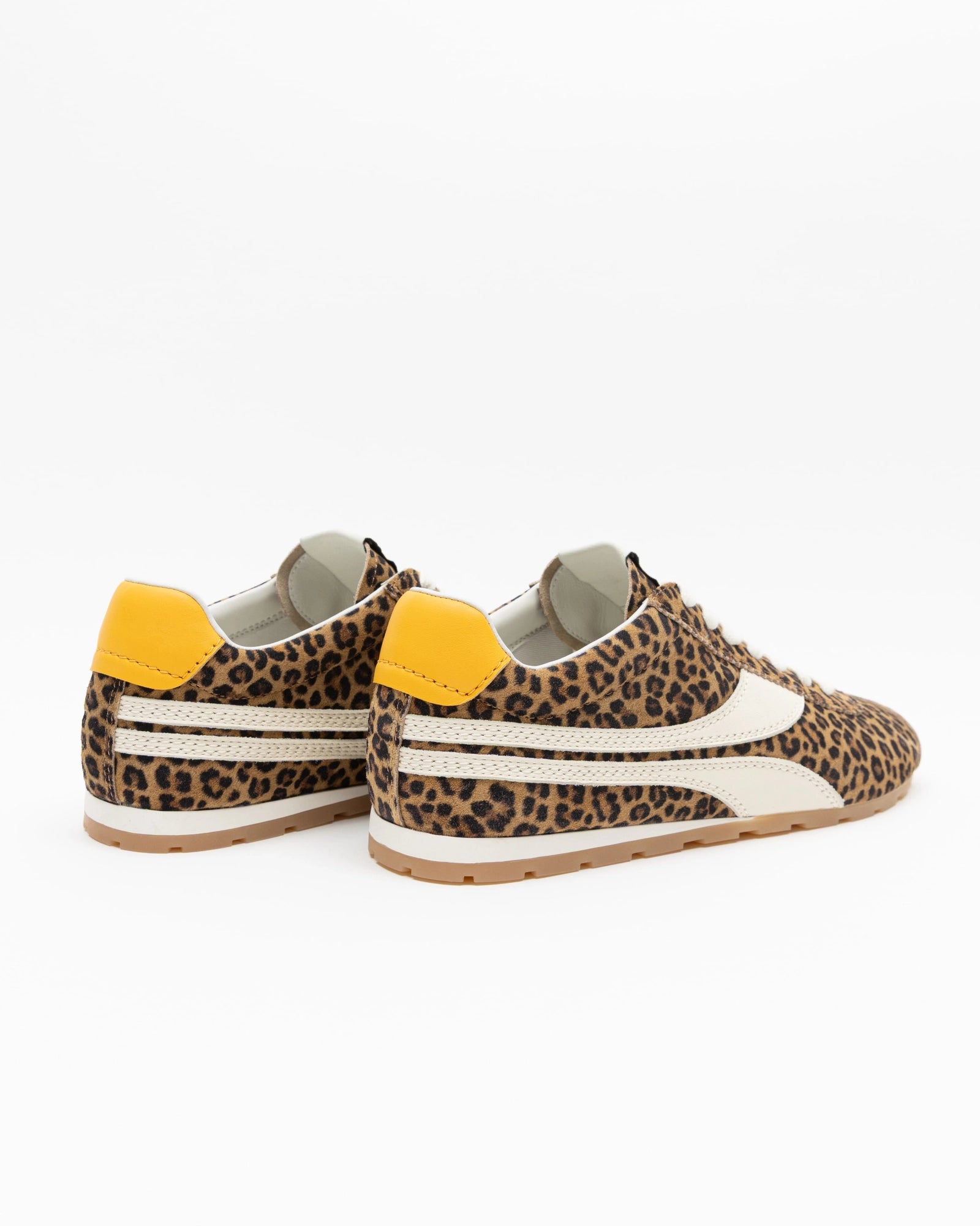 Essex, Leopard