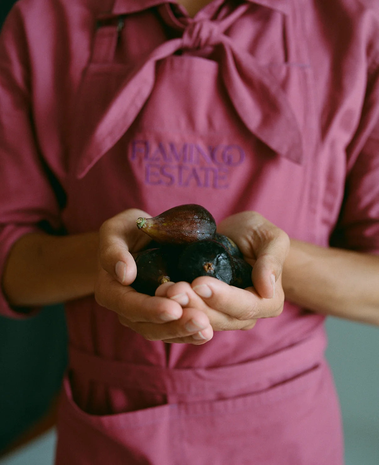 Noir Fig Balsamic
