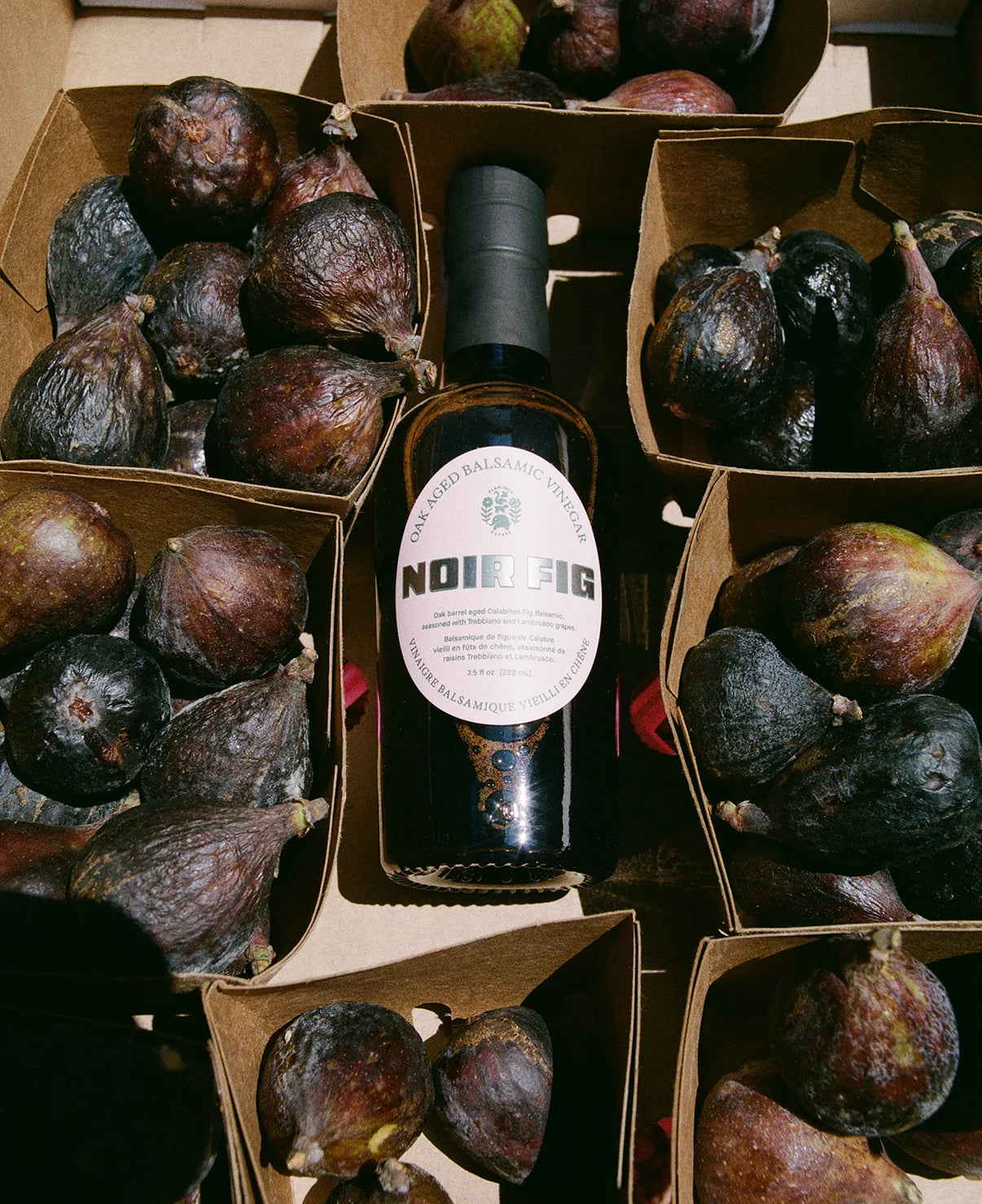 Noir Fig Balsamic