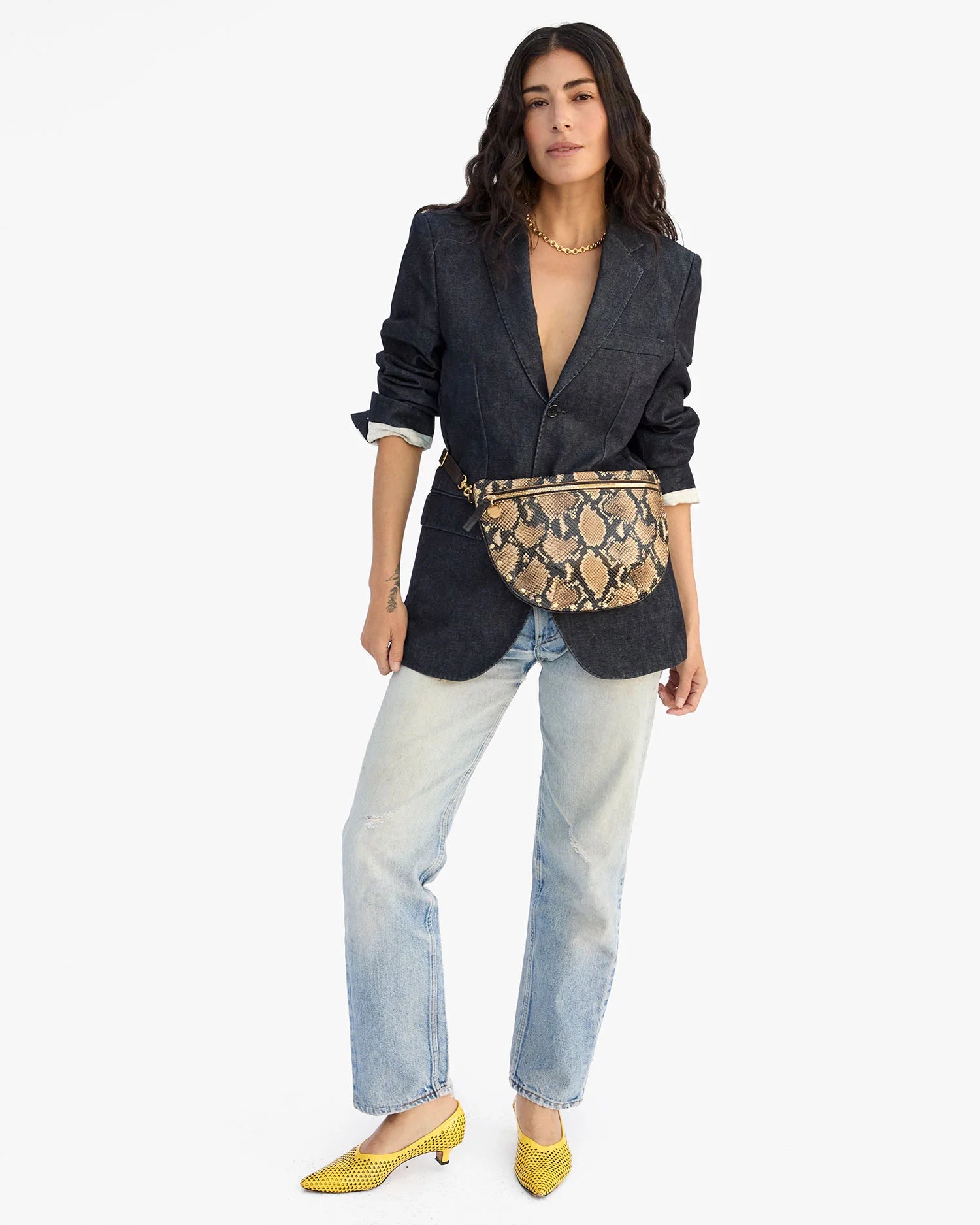 Grande Fanny, Tan Desert Snake