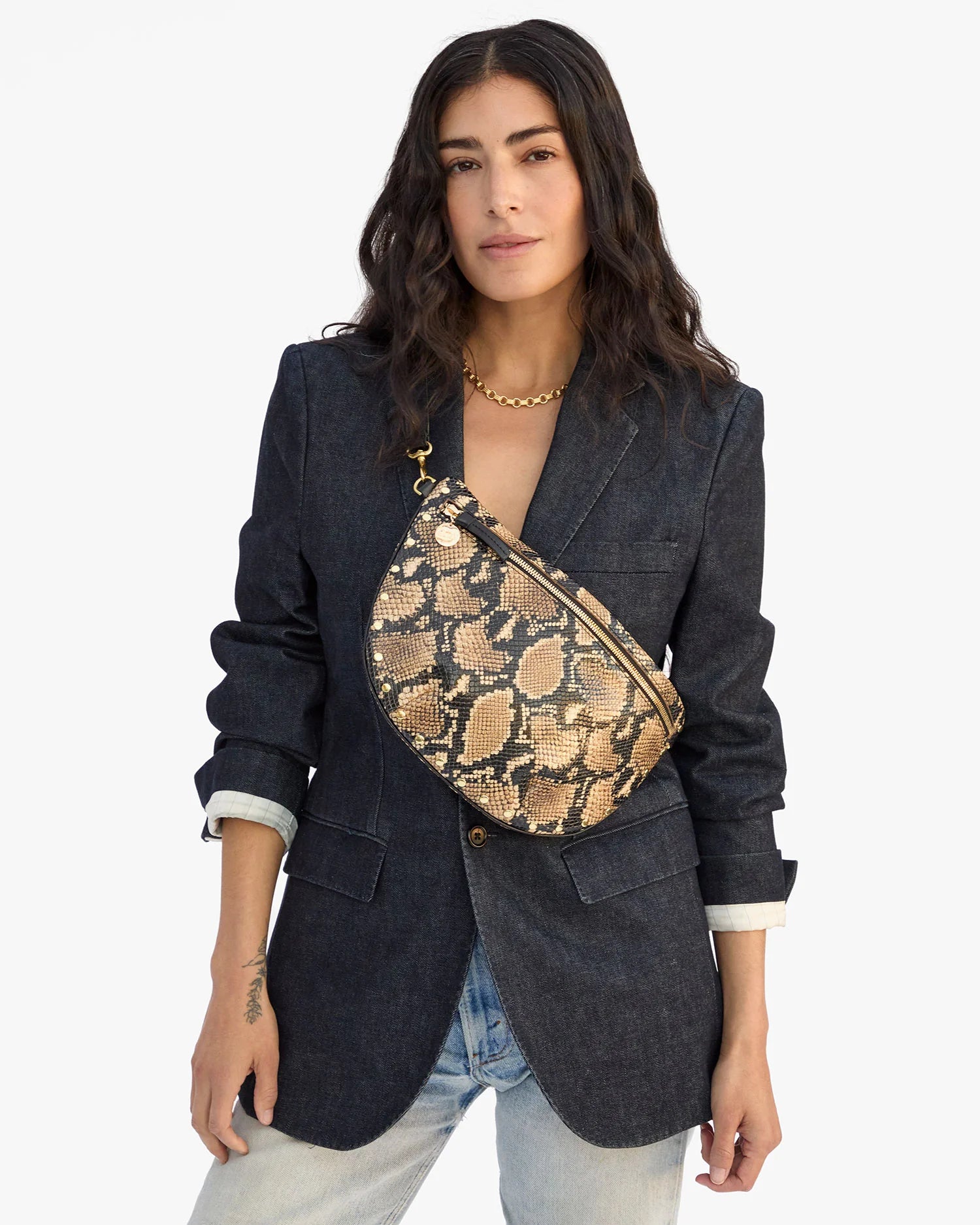 Grande Fanny, Tan Desert Snake
