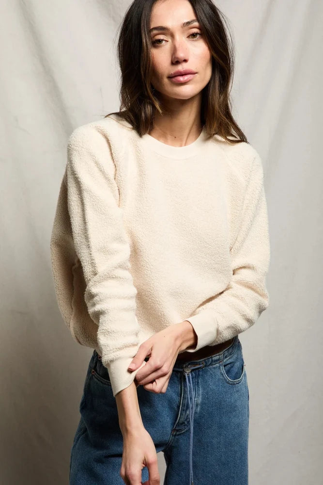 ziggy sweatshirt, sugar
